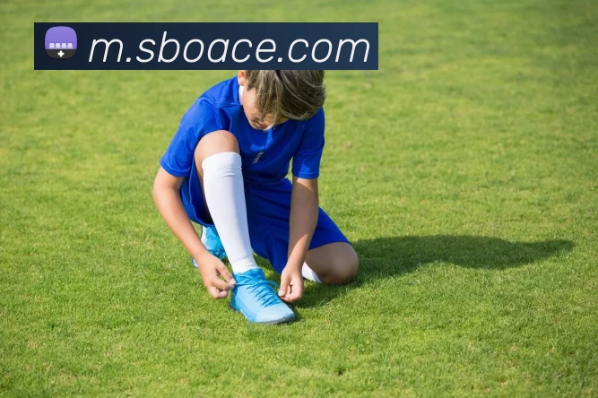 奖项证书